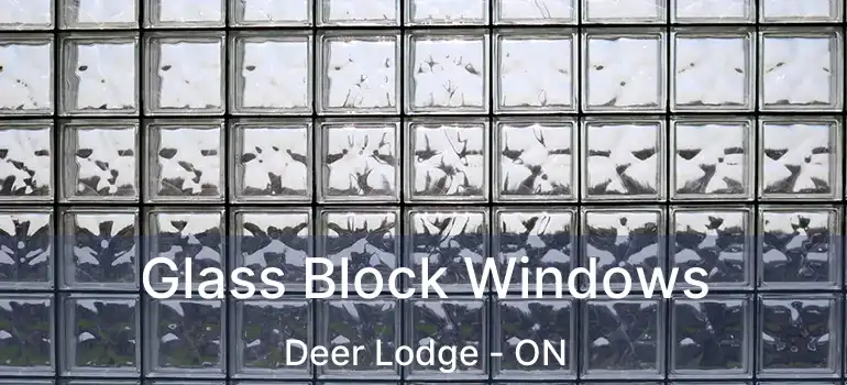 Glass Block Windows Deer Lodge - ON