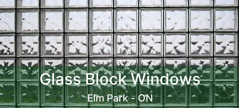 Glass Block Windows Elm Park - ON