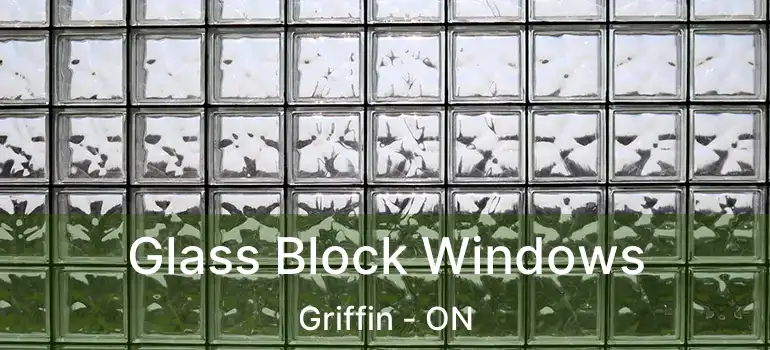  Glass Block Windows Griffin - ON