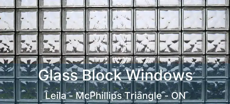  Glass Block Windows Leila - McPhillips Triangle - ON