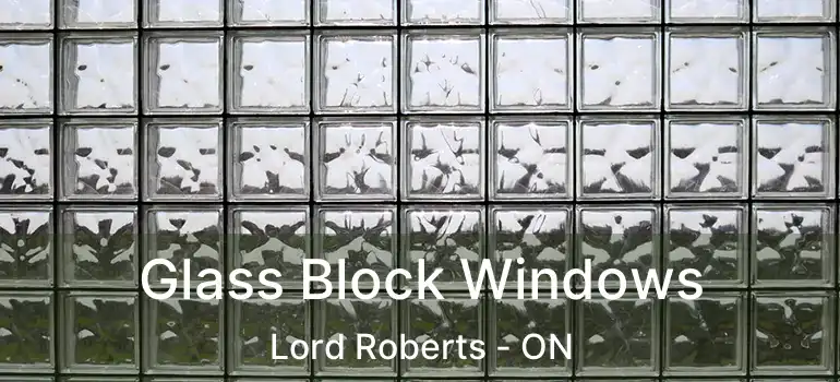  Glass Block Windows Lord Roberts - ON