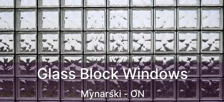  Glass Block Windows Mynarski - ON