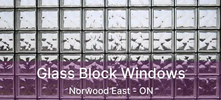  Glass Block Windows Norwood East - ON