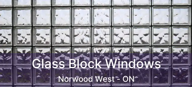  Glass Block Windows Norwood West - ON
