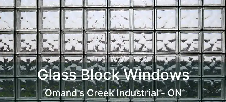 Glass Block Windows Omand s Creek Industrial - ON
