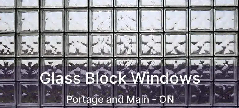  Glass Block Windows Portage and Main - ON