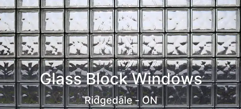  Glass Block Windows Ridgedale - ON