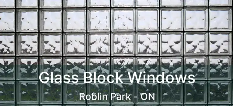  Glass Block Windows Roblin Park - ON