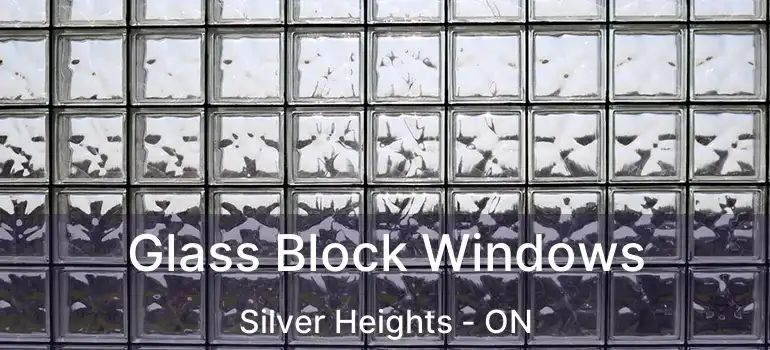  Glass Block Windows Silver Heights - ON