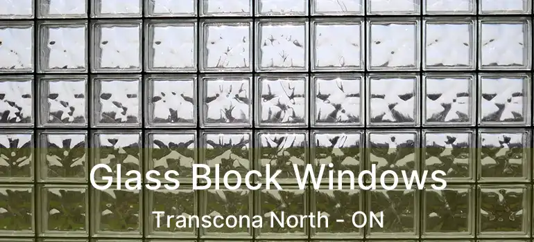 Glass Block Windows Transcona North - ON
