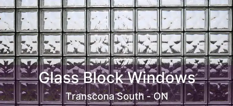  Glass Block Windows Transcona South - ON