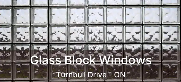  Glass Block Windows Turnbull Drive - ON
