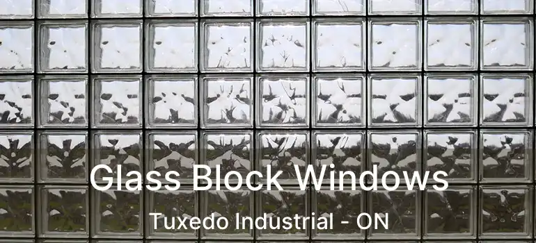  Glass Block Windows Tuxedo Industrial - ON