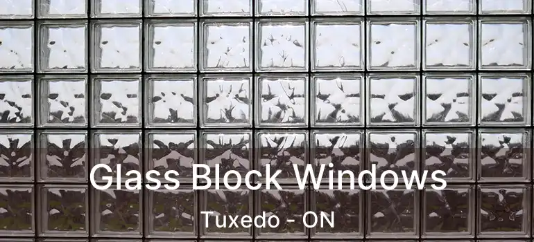  Glass Block Windows Tuxedo - ON