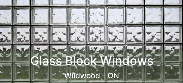  Glass Block Windows Wildwood - ON