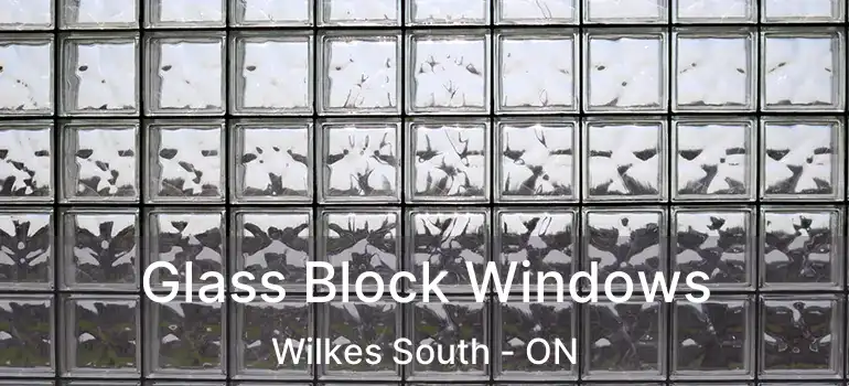  Glass Block Windows Wilkes South - ON
