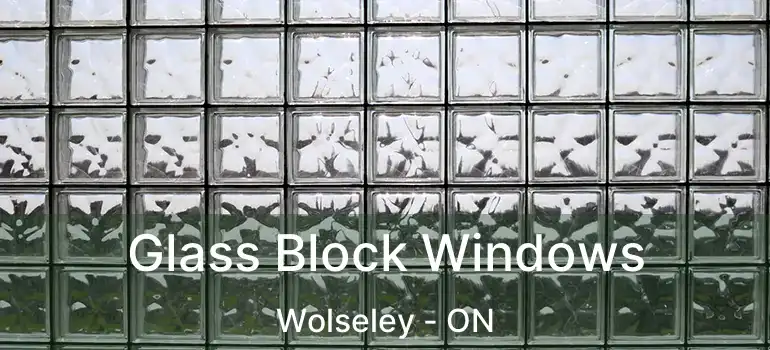  Glass Block Windows Wolseley - ON