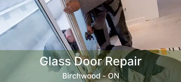  Glass Door Repair Birchwood - ON
