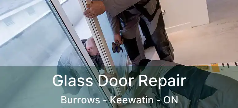  Glass Door Repair Burrows - Keewatin - ON