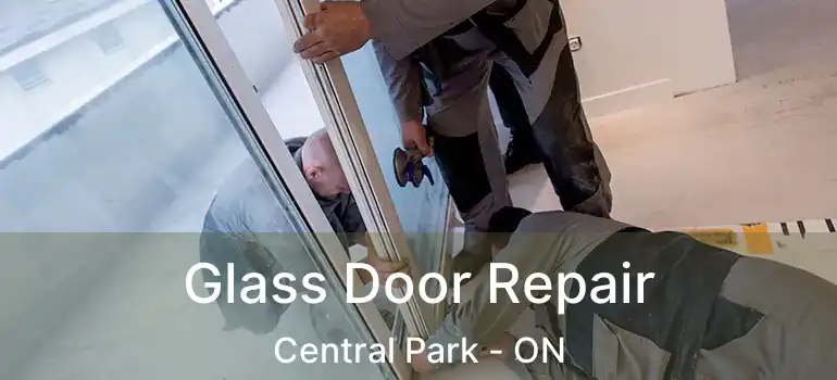  Glass Door Repair Central Park - ON