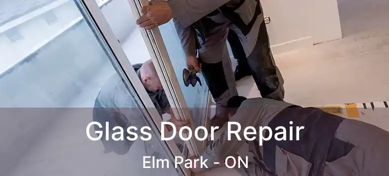  Glass Door Repair Elm Park - ON