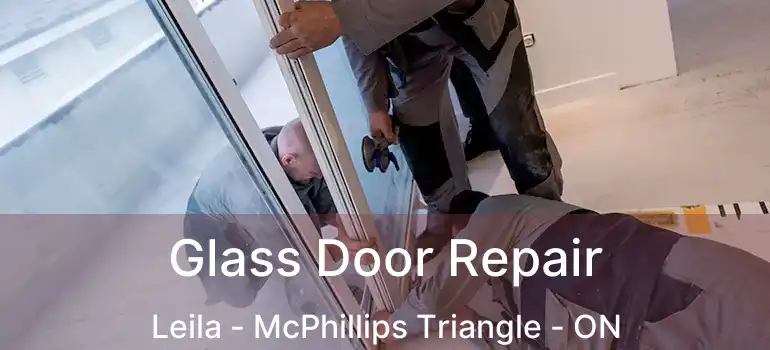  Glass Door Repair Leila - McPhillips Triangle - ON