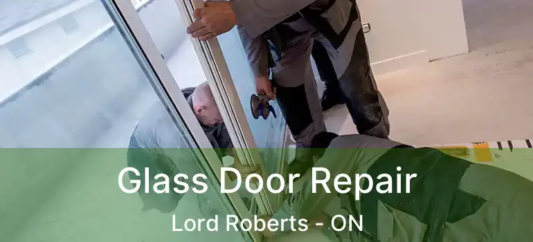  Glass Door Repair Lord Roberts - ON