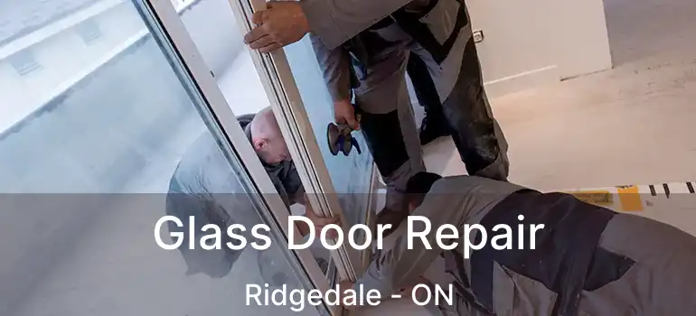  Glass Door Repair Ridgedale - ON