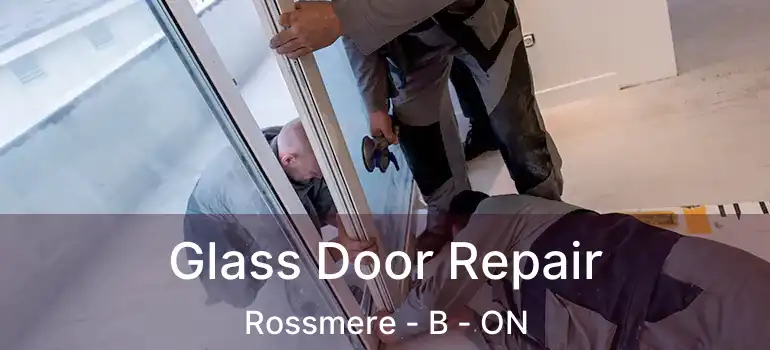  Glass Door Repair Rossmere - B - ON