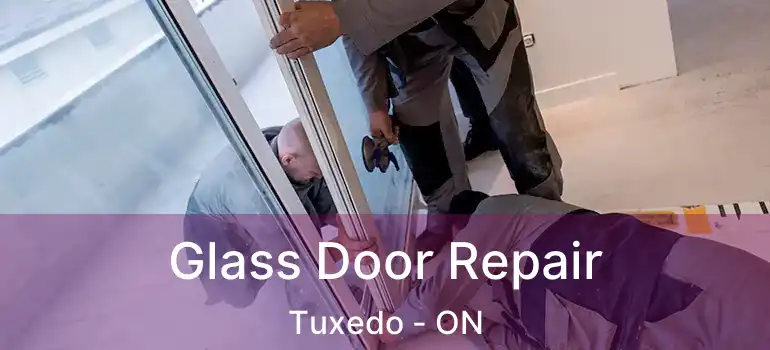  Glass Door Repair Tuxedo - ON