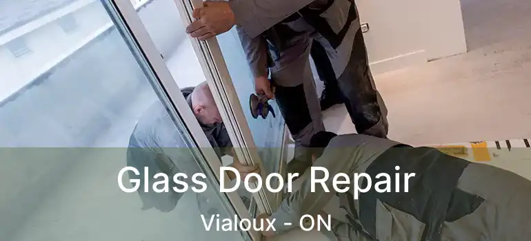  Glass Door Repair Vialoux - ON