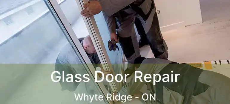  Glass Door Repair Whyte Ridge - ON