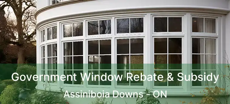  Government Window Rebate & Subsidy Assiniboia Downs - ON