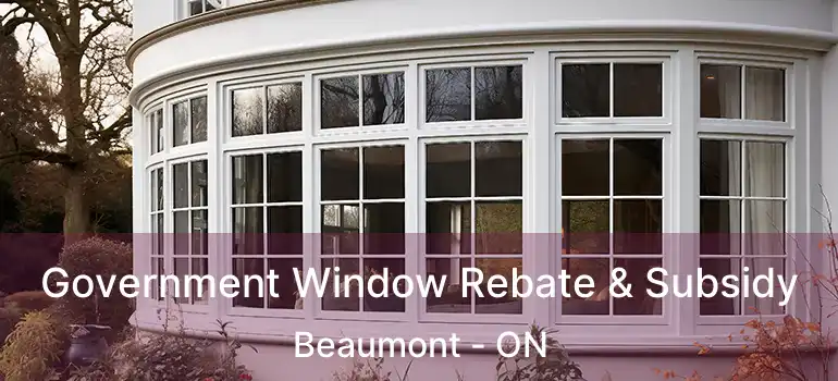  Government Window Rebate & Subsidy Beaumont - ON