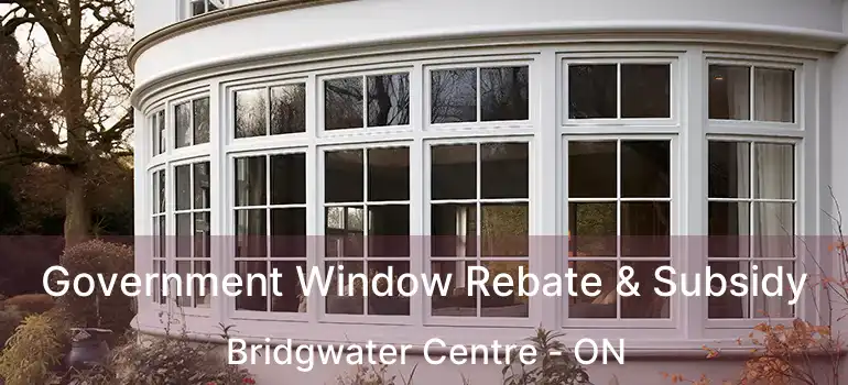  Government Window Rebate & Subsidy Bridgwater Centre - ON