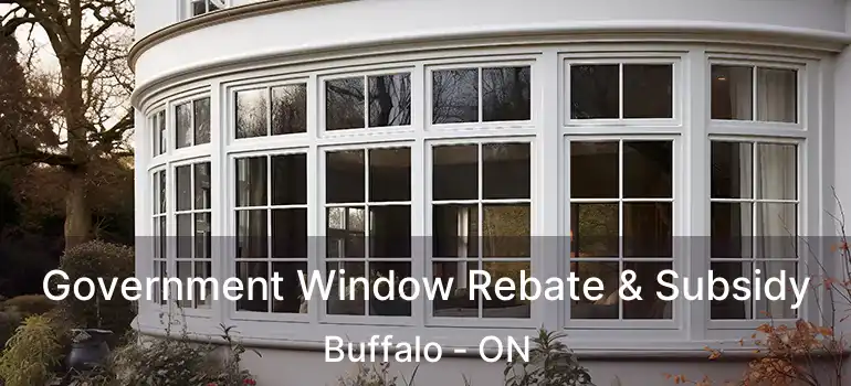  Government Window Rebate & Subsidy Buffalo - ON