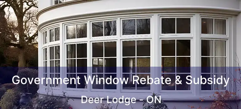  Government Window Rebate & Subsidy Deer Lodge - ON