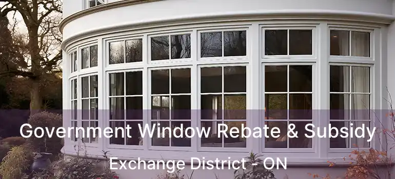  Government Window Rebate & Subsidy Exchange District - ON