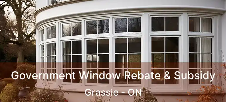  Government Window Rebate & Subsidy Grassie - ON