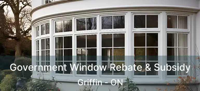  Government Window Rebate & Subsidy Griffin - ON