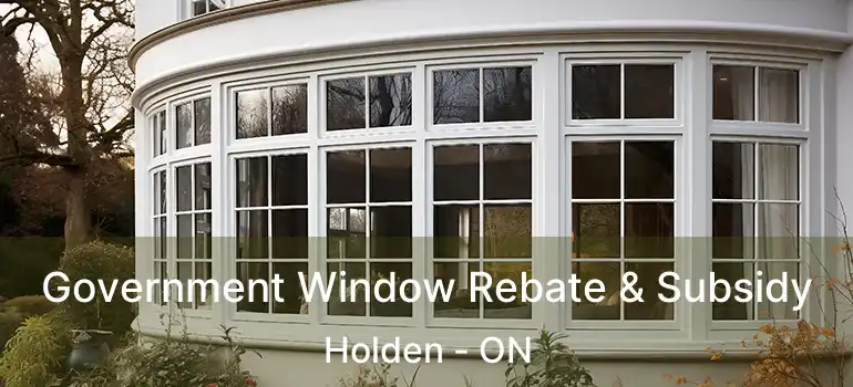  Government Window Rebate & Subsidy Holden - ON