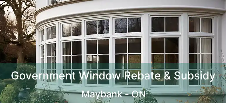  Government Window Rebate & Subsidy Maybank - ON