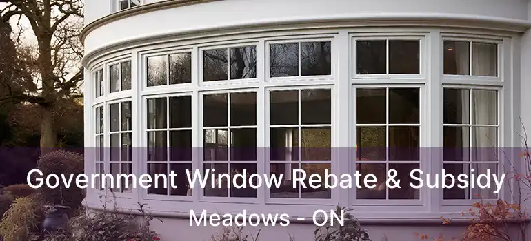  Government Window Rebate & Subsidy Meadows - ON