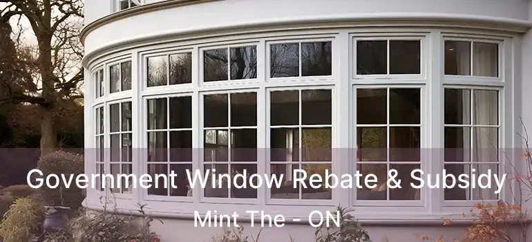  Government Window Rebate & Subsidy Mint The - ON