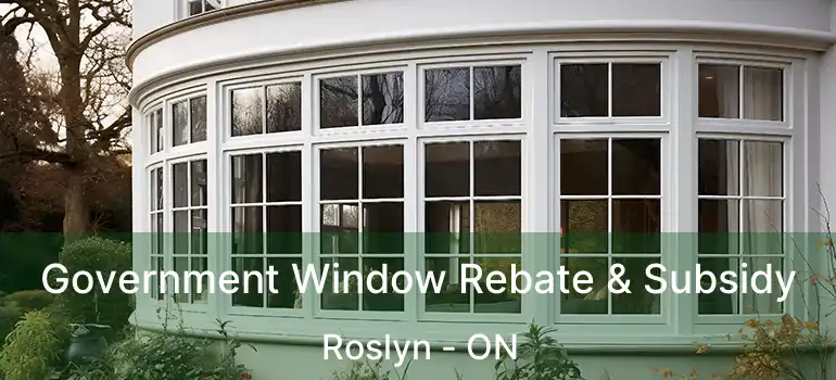  Government Window Rebate & Subsidy Roslyn - ON