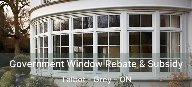  Government Window Rebate & Subsidy Talbot - Grey - ON