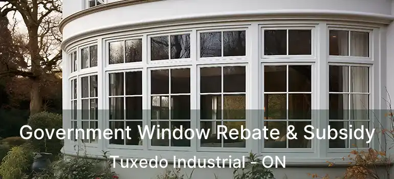  Government Window Rebate & Subsidy Tuxedo Industrial - ON