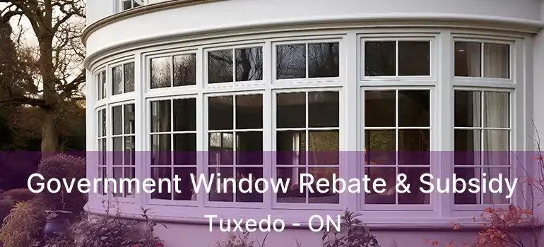  Government Window Rebate & Subsidy Tuxedo - ON