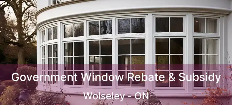  Government Window Rebate & Subsidy Wolseley - ON