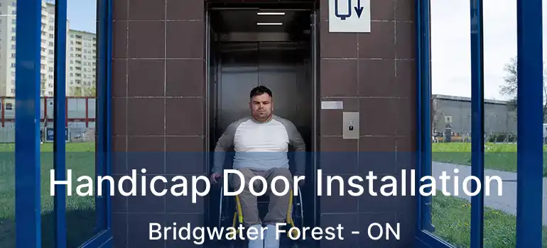  Handicap Door Installation Bridgwater Forest - ON